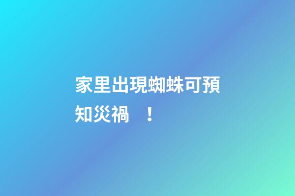 家里出現蜘蛛可預知災禍！